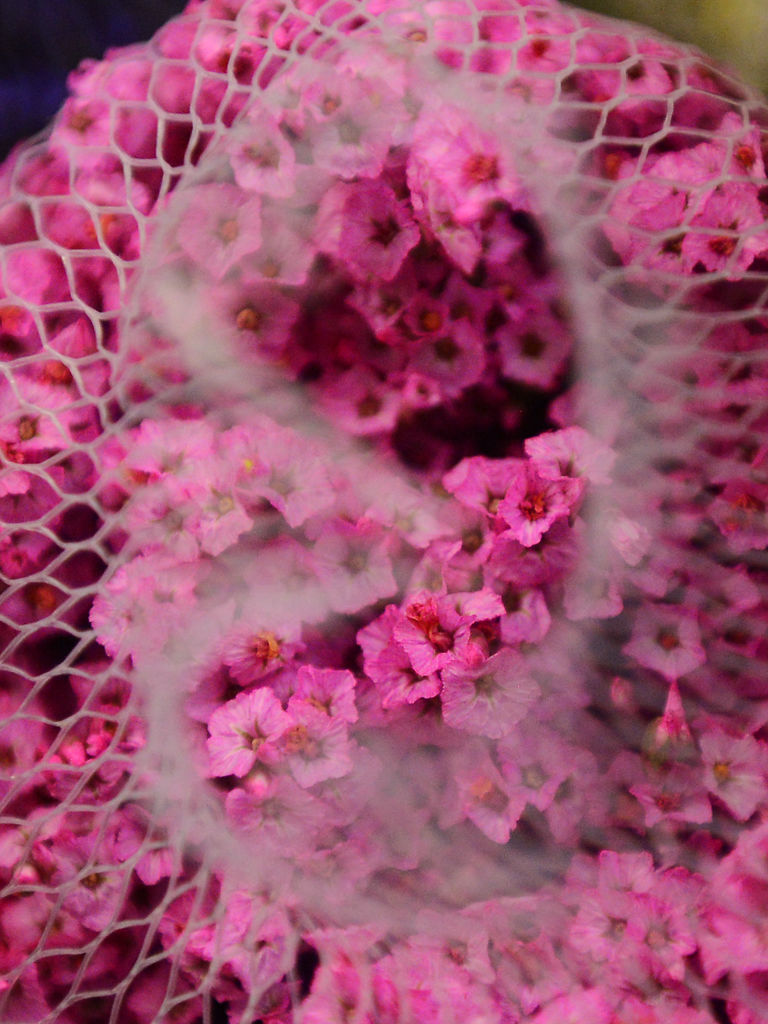 Tiger Garden focuses on organization and efficiency in advance of Valentine's Day